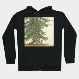 Douglas fir tree drawing Hoodie